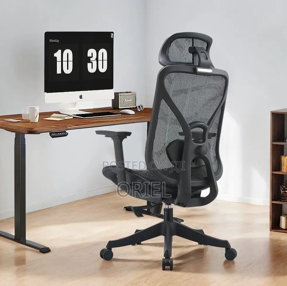 Office Chairs; Elite Orthopedic Lumbar Support Desk Chair