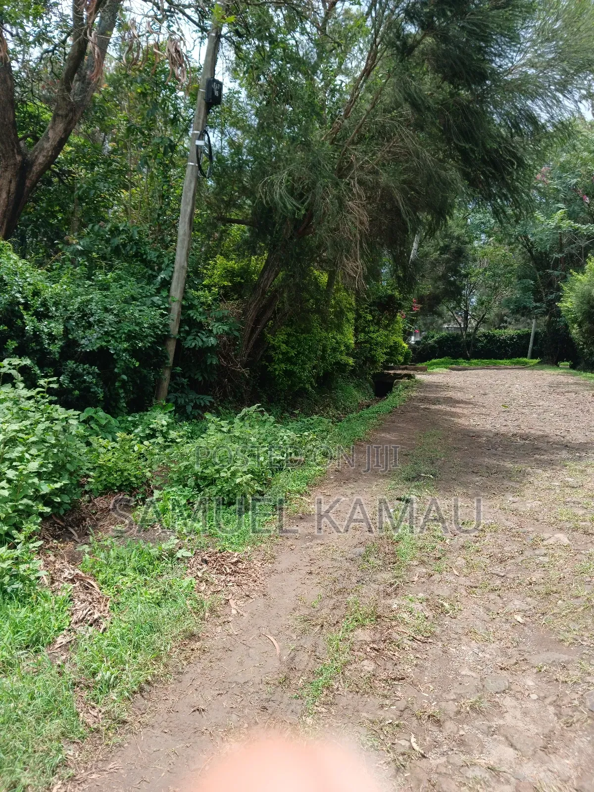 Karen, Muiri Lane Half Acre