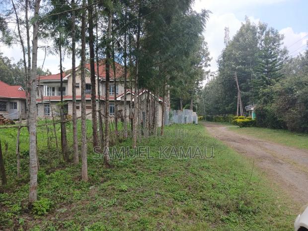 Karen, Muiri Lane Half Acre - thumbnail 4