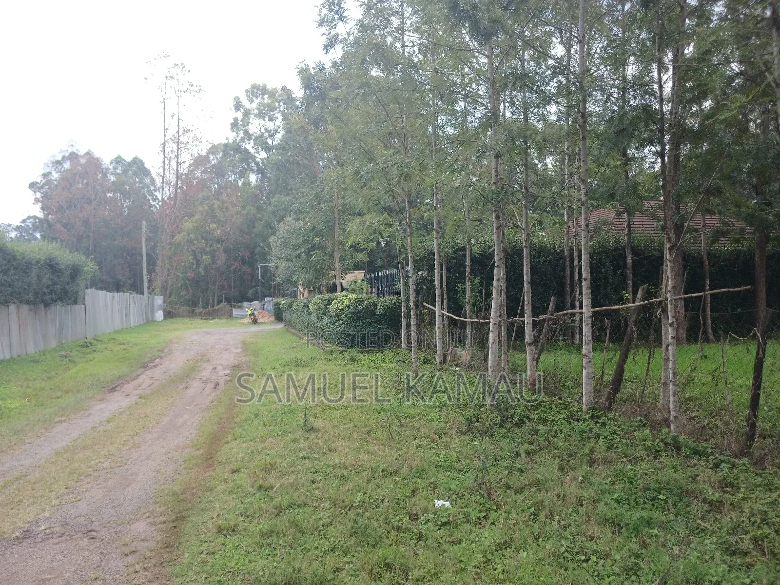 Karen, Muiri Lane Half Acre