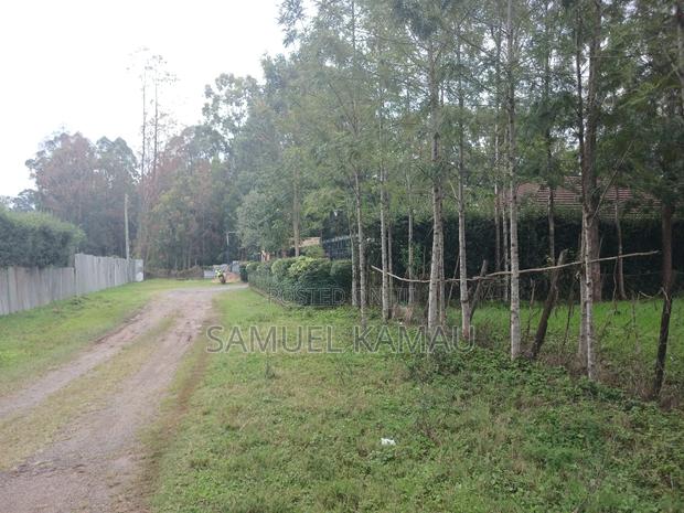 Karen, Muiri Lane Half Acre - thumbnail 5