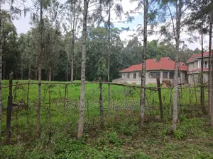Karen, Muiri Lane Half Acre