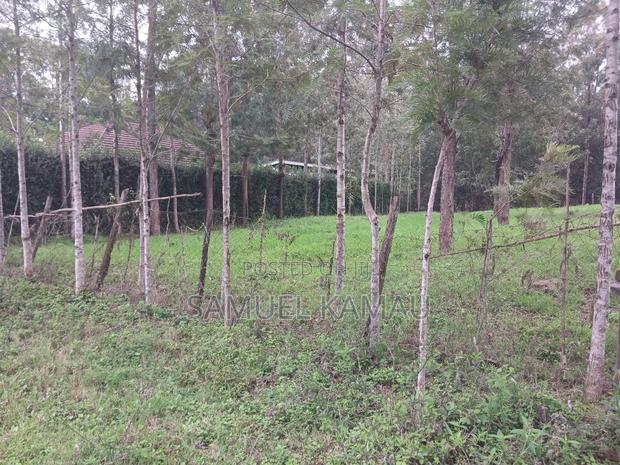 Karen, Muiri Lane Half Acre - thumbnail 7