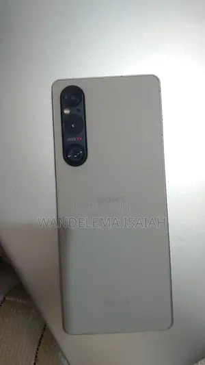 Sony Xperia 1 V 256 GB Silver