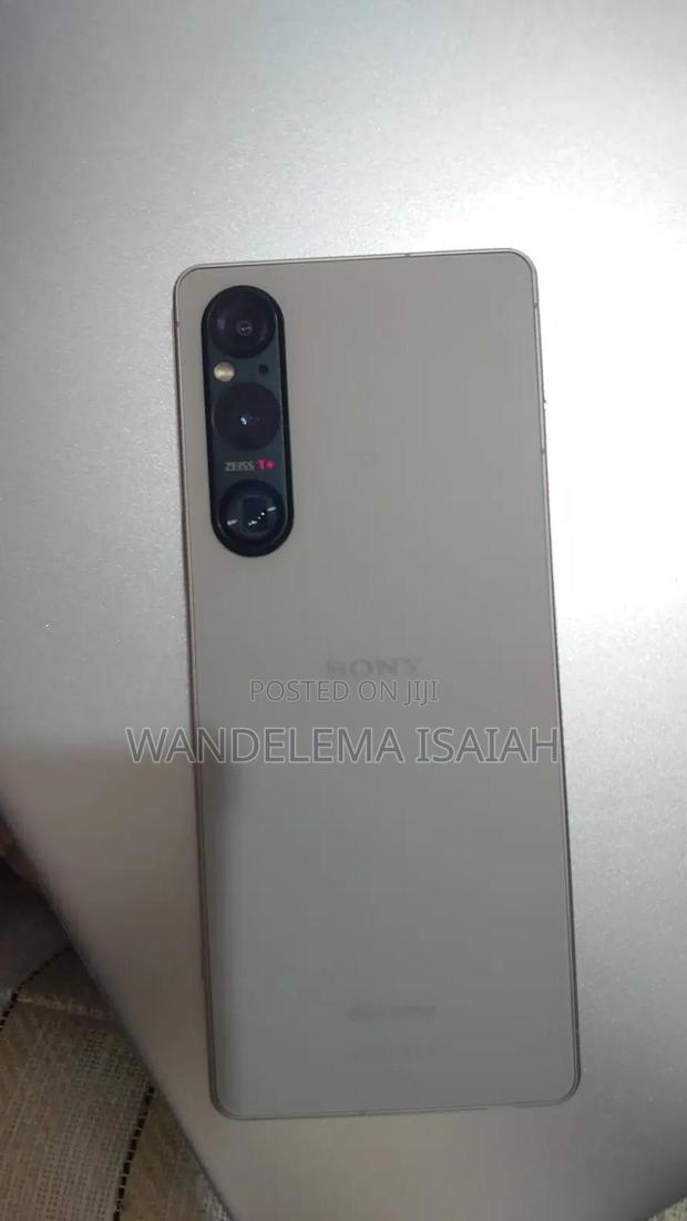 Sony Xperia 1 V 256 GB Silver - main view