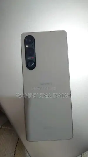 Sony Xperia 1 V 256 GB Silver