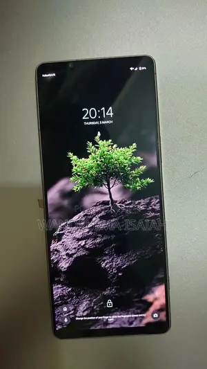 Sony Xperia 1 V 256 GB Silver