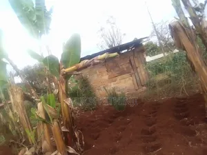 Plot for Sale