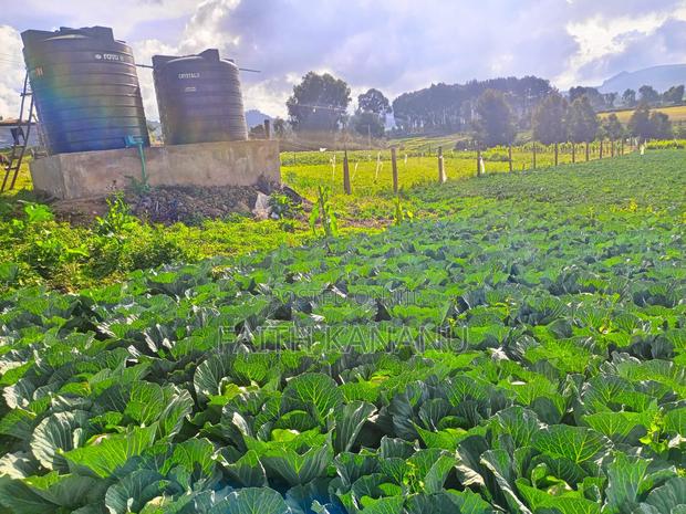 Prime Agricultural Land for Sale - main view