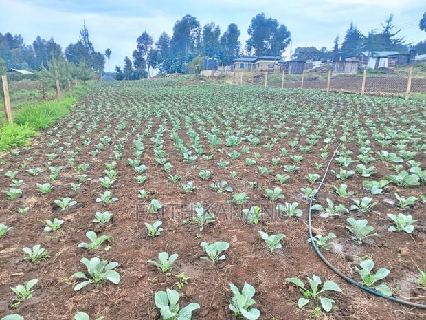 Prime Agricultural Land for Sale - thumbnail 3