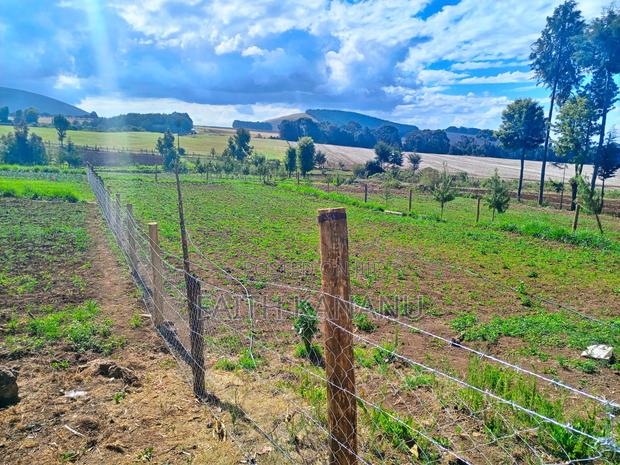 Prime Agricultural Land for Sale - thumbnail 5