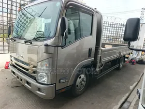 Isuzu Elf. 2020 Model