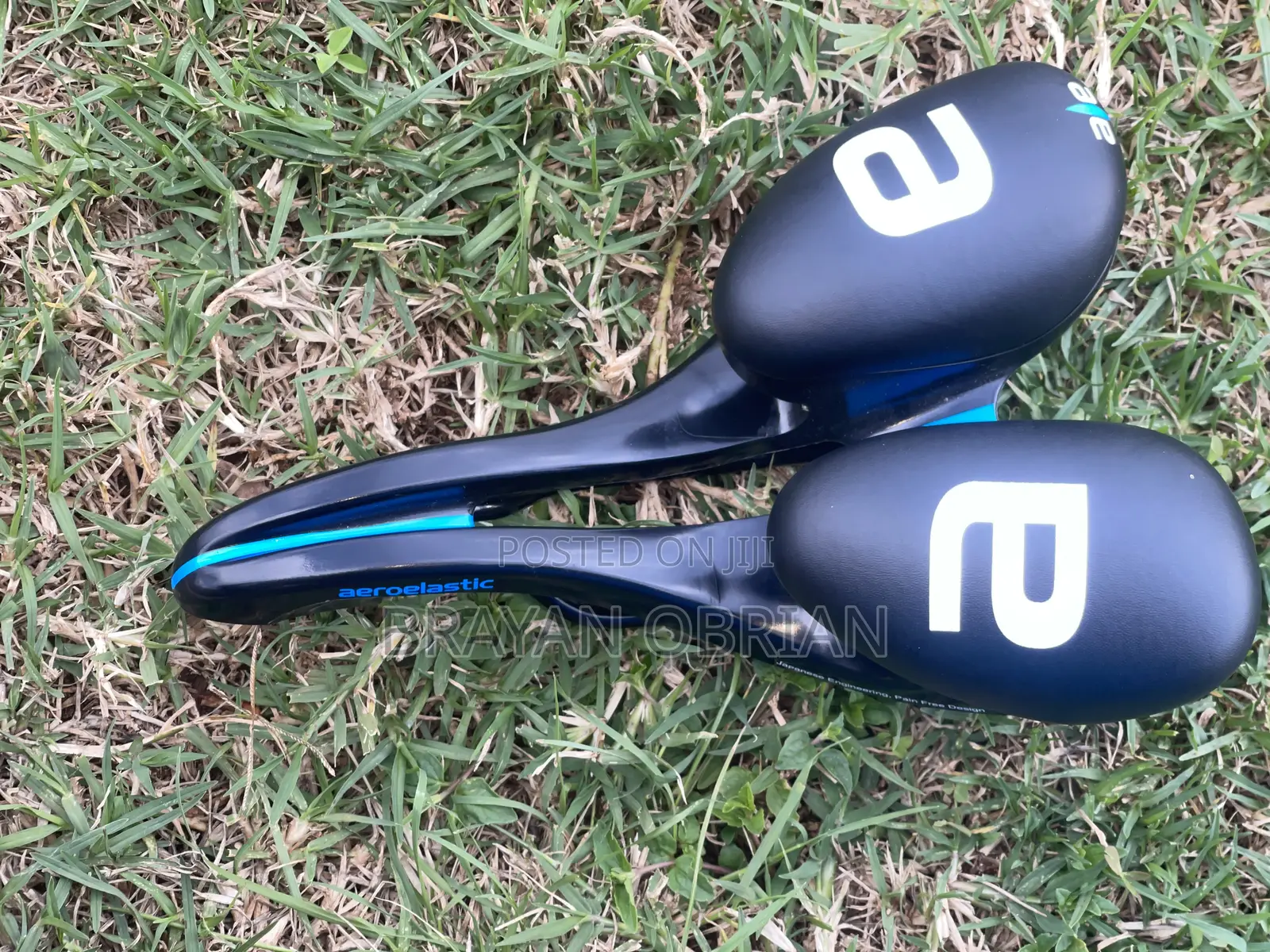 Aeroelastic Saddle
