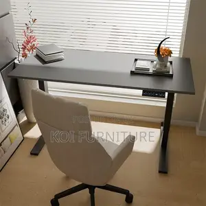 Office Desk : 1.2m Office Adjustable Standing Desk