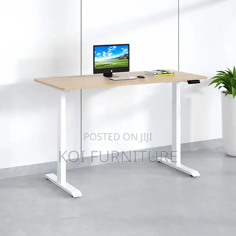 Office Desk : 1.2m Office Adjustable Standing Desk
