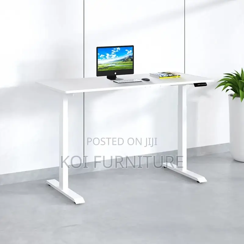Office Desk : 1.2m Office Adjustable Standing Desk