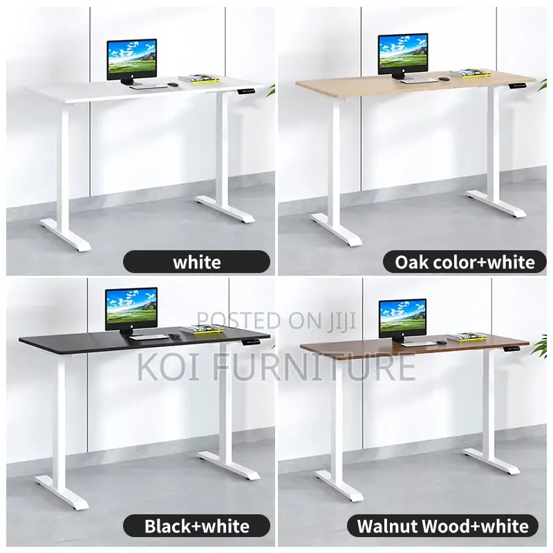 Office Desk : 1.2m Office Adjustable Standing Desk
