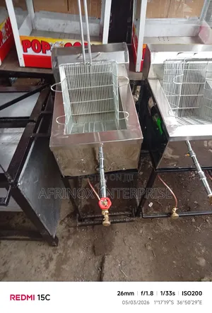 Single Deep Fryer. Gas Deep Fryer