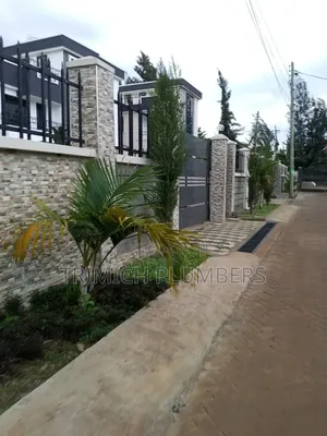 Pop Up Sprinkler Installation Services and Irrigation System
