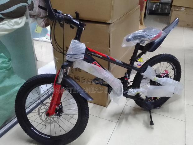 Size 20 Bike With Gears and Disc Brake