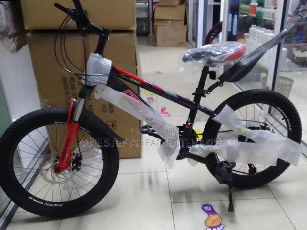 Advanced Size 20 Bike With Gears Disc Brake and Shock Absorbers
