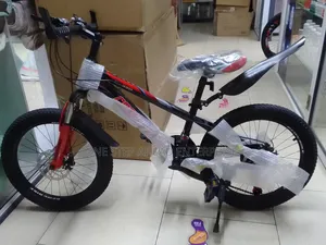 Size 20 Bike With Shock Absorbers and Gears Available