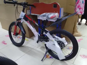 Size 20 Geared Classical Bike