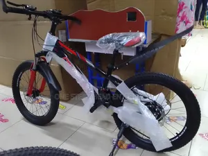 Size 20 Geared Classical Bike