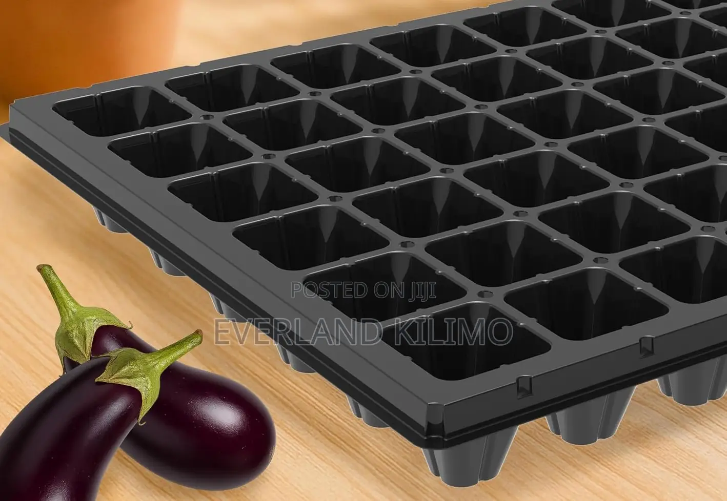 Professional Nursery Seedling Trays For Farmers