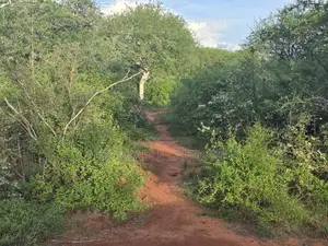10,000 Acres on Sale at Mutomo