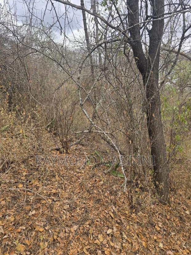 174acres Touching the River Athi - thumbnail 3