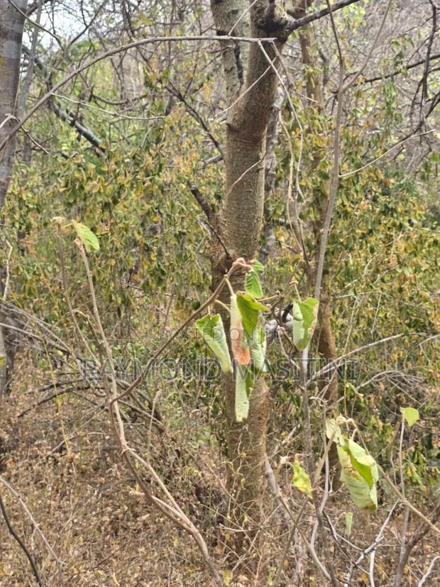 174acres Touching the River Athi - thumbnail 4