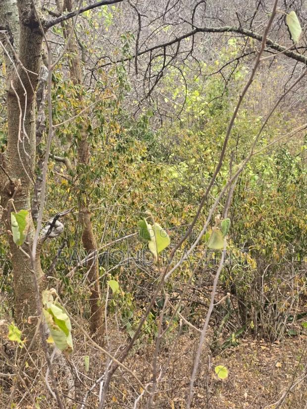 174acres Touching the River Athi - thumbnail 6