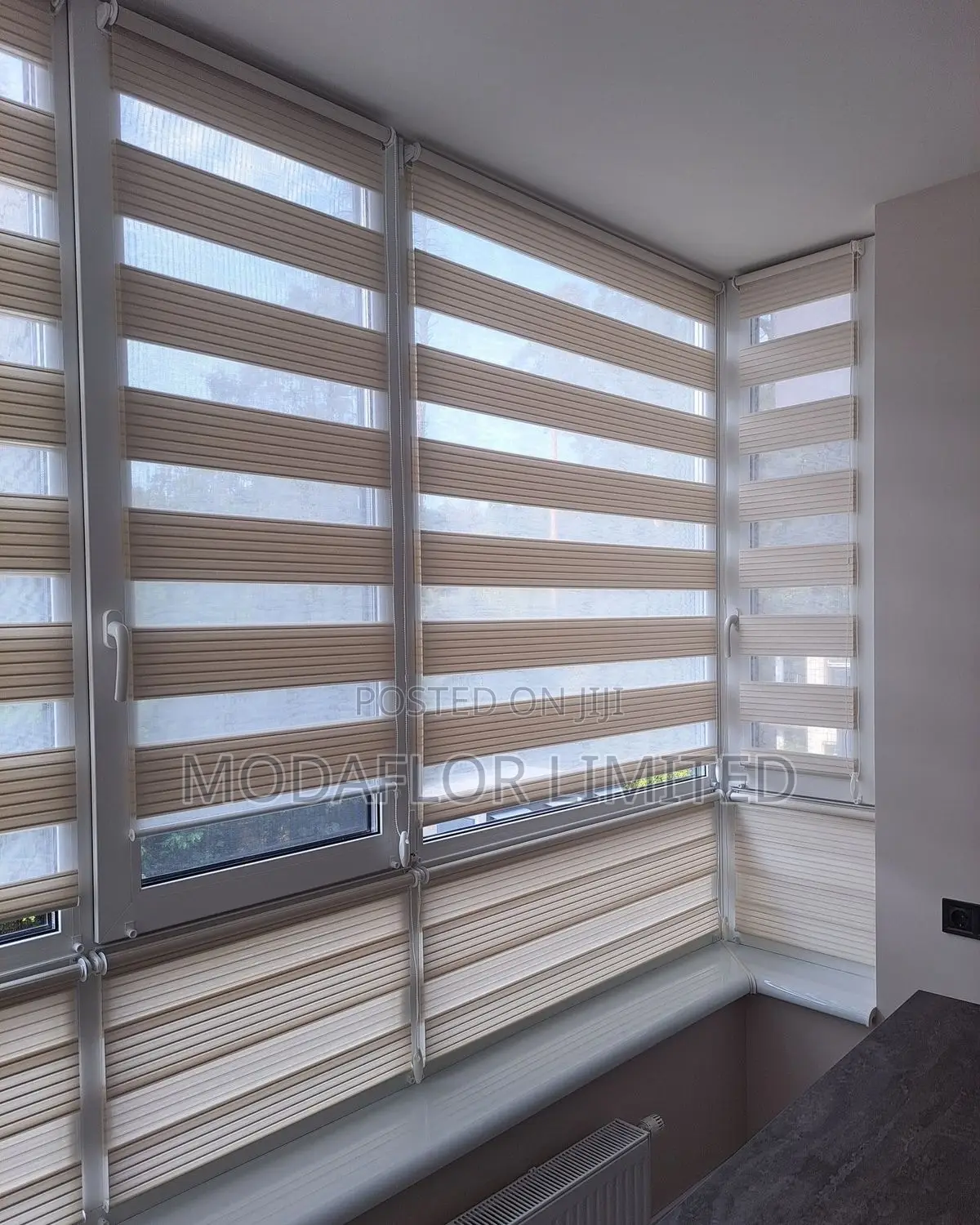 Zebra Blinds for Living Room Bedroom – Modern Window Shades