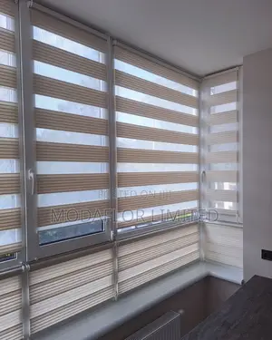 Zebra Blinds for Living Room Bedroom – Modern Window Shades