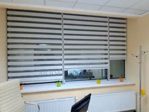 Day and Night Zebra Blinds – Stylish Window Coverings