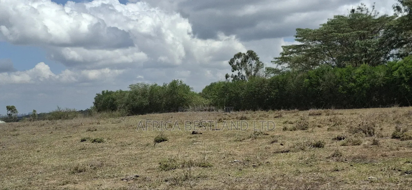 1.25 Acres Available Land for Sale Rongai Tuala