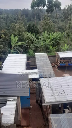 4bdrm House in Kiambu / Kiambu  for sale