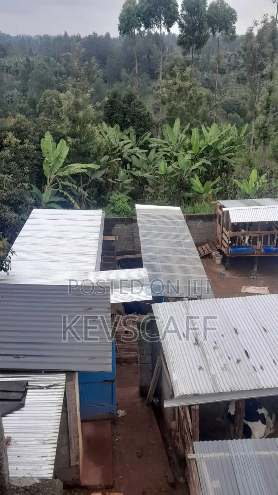 4bdrm House in Kiambu / Kiambu  for sale