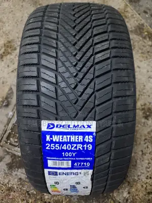 255/40r19 Delmax Tyres 100 Y X-Weather 4s