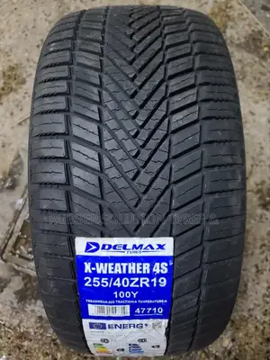 255/40r19 Delmax Tyres 100 Y X-Weather 4s