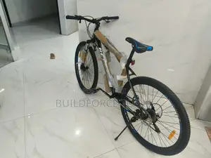 21 Speed Premier Mountain Bike Size 29"