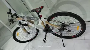 Reset Mountain Bike Size 29er Adult Bike Xl
