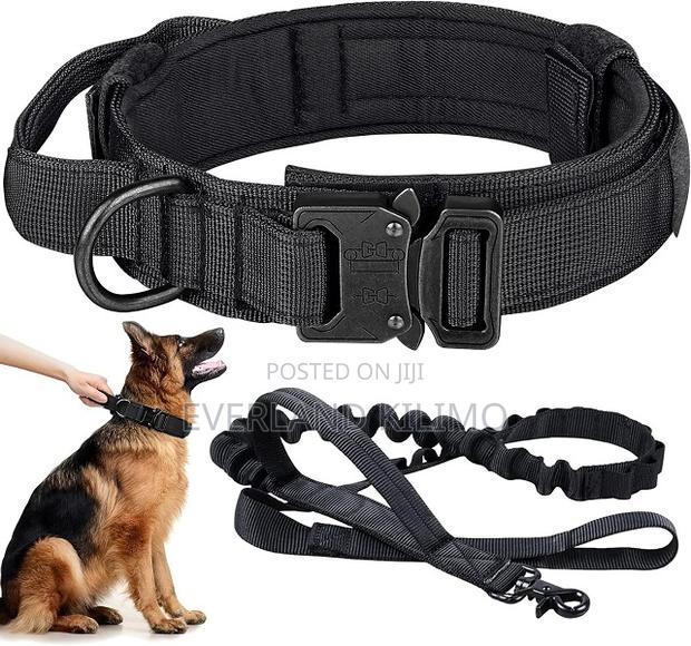 Tactical Collar and Leash for Working Dogs. - main view