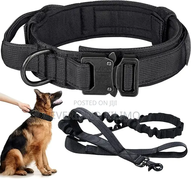 Tactical Collar and Leash for Walking Dogs.