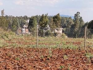 100 by 100 Plot for Sale – Lusigiti - main view