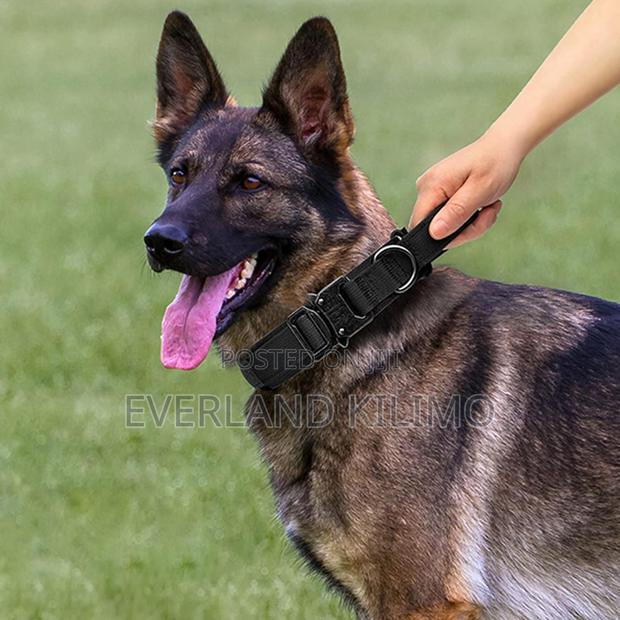 Military-Style Tactical Dog Collar - main view