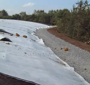 Fabric Filter Membrane/ Geotextile Membrane 300gsm 2×50