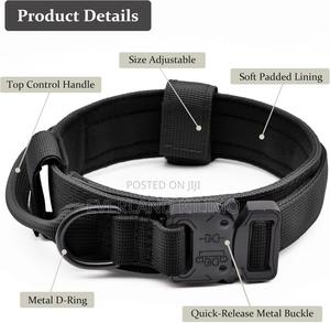 All-Purpose Dog Collar for Walking and Training - thumbnail 2