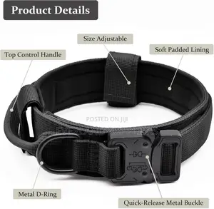 All-Purpose Dog Collar for Walking and Training